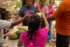 WhatsApp-Image-2024-08-29-at-15.39.03-3