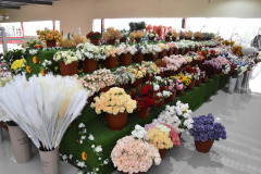 WhatsApp-Image-2022-12-10-at-2.22.16-PM-3