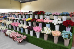 WhatsApp-Image-2022-12-10-at-2.22.16-PM-4