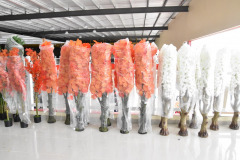 WhatsApp-Image-2022-12-10-at-2.22.17-PM-1