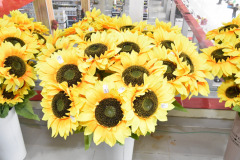 WhatsApp-Image-2022-12-10-at-2.22.17-PM-2