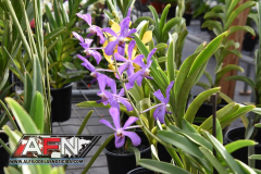 WhatsApp-Image-2021-02-11-at-8.00.28-PM-1-Copiar