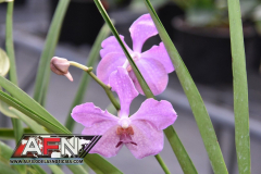 WhatsApp-Image-2021-02-11-at-8.00.29-PM-2-Copiar