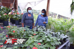 WhatsApp-Image-2021-02-11-at-8.00.29-PM-3-Copiar