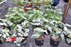 WhatsApp-Image-2021-02-11-at-8.00.29-PM-5-Copiar