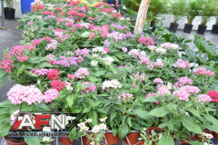 WhatsApp-Image-2021-02-11-at-8.00.29-PM-6-Copiar