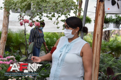 WhatsApp-Image-2021-02-11-at-8.00.29-PM-Copiar