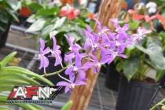 WhatsApp-Image-2021-02-11-at-8.00.30-PM-1-Copiar