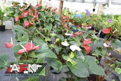 WhatsApp-Image-2021-02-11-at-8.00.31-PM-1-Copiar