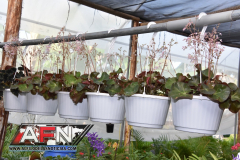 WhatsApp-Image-2021-02-11-at-8.00.31-PM-2-Copiar