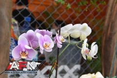 WhatsApp-Image-2021-02-11-at-8.00.31-PM-Copiar