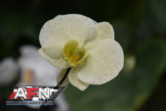 WhatsApp-Image-2021-02-11-at-8.00.32-PM-1-Copiar