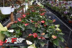 WhatsApp-Image-2021-02-11-at-8.00.32-PM-2-Copiar