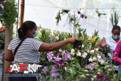 WhatsApp-Image-2021-02-11-at-8.00.32-PM-Copiar