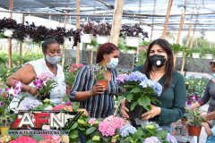 WhatsApp-Image-2021-02-11-at-8.00.33-PM-3-Copiar