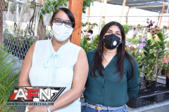 WhatsApp-Image-2021-02-11-at-8.00.34-PM-2-Copiar