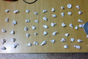 WhatsApp Image 2017-10-05 at 1.30.44 PM